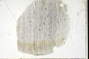 Plane Polarized, S89936