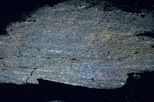 Cross Polarized, S89938