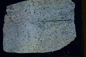 Cross Polarized, S89939