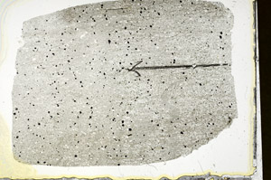Plane Polarized, S89939