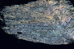 Cross Polarized, S89940