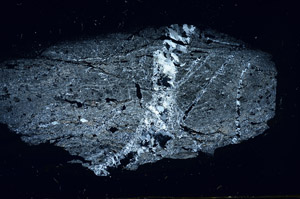 Cross Polarized, S89941