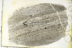Plane Polarized, S89943