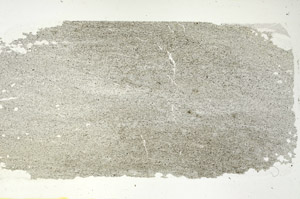 Plane Polarized, S89945