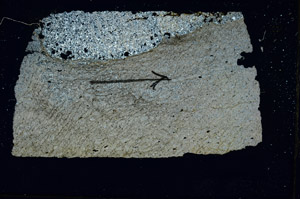 Cross Polarized, S89946