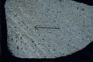 Cross Polarized, S89948