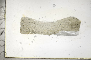 Plane Polarized, S89952