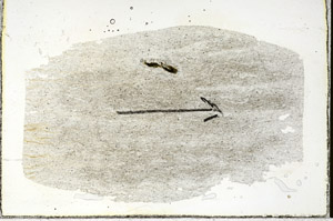 Plane Polarized, S89954