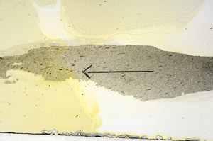 Plane Polarized, S89958