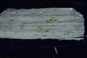 Cross Polarized, S89960