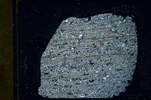 Cross Polarized, S89962