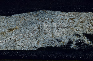 Cross Polarized, S89963