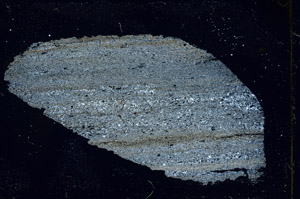 Cross Polarized, S89964
