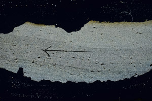 Cross Polarized, S89966