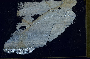 Cross Polarized, S89967