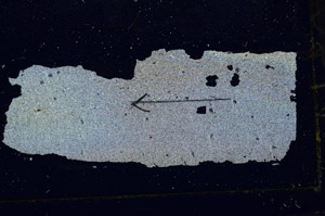 Cross Polarized, S89968