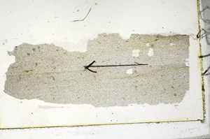 Plane Polarized, S89968