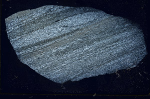 Cross Polarized, S89973