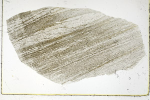 Plane Polarized, S89973