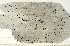 Plane Polarized, S89975