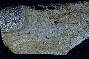 Cross Polarized, S89976