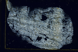 Cross Polarized, S89982