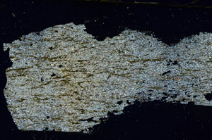 Cross Polarized, S89983