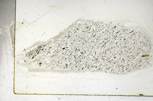 Plane Polarized, S89989