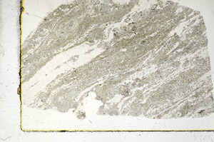 Plane Polarized, S89990