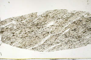 Plane Polarized, S89991