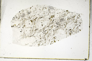 Plane Polarized, S89993