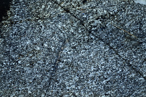 Cross Polarized, S90010