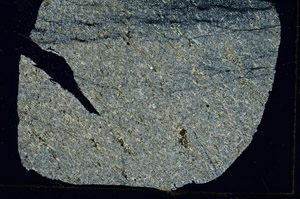 Cross Polarized, S90011