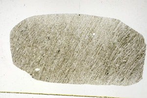 Plane Polarized, S90017