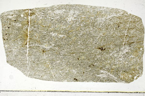 Plane Polarized, S90023