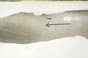 Plane Polarized, S90032