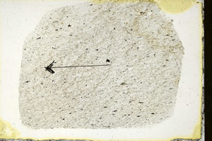 Plane Polarized, S90033