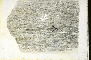 Plane Polarized, S90034