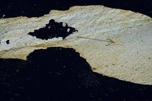Cross Polarized, S90036