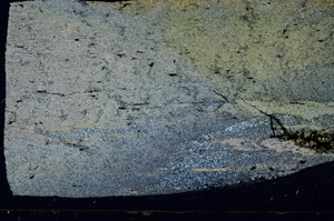 Cross Polarized, S90037