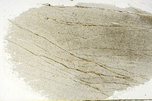 Plane Polarized, S90056