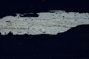 Cross Polarized, S90058