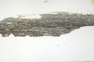 Plane Polarized, S90058