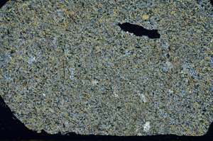 Cross Polarized, S90059