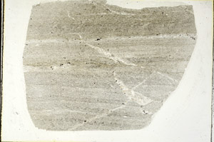 Plane Polarized, S90065