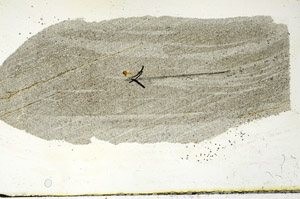 Plane Polarized, S90072