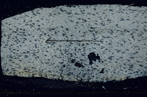 Cross Polarized, S90075
