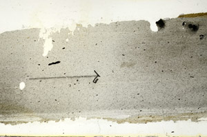 Plane Polarized, S90076