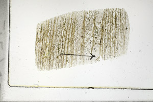 Plane Polarized, S90082
