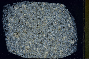 Cross Polarized, S90092